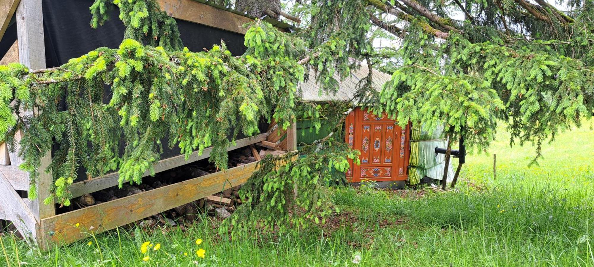 La Petite Echelle Hotel Rochejean Bagian luar foto